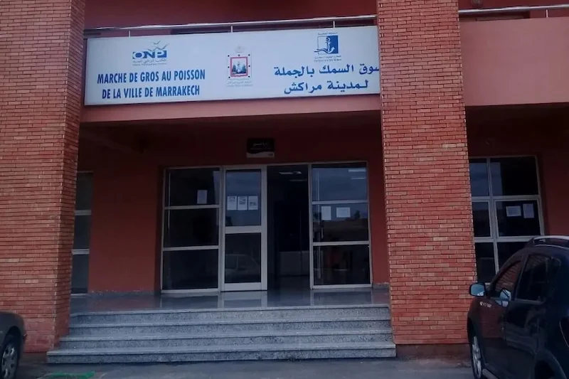 جدل حول شروط الولوج إلى سوق السمك بالجملة في مراكش