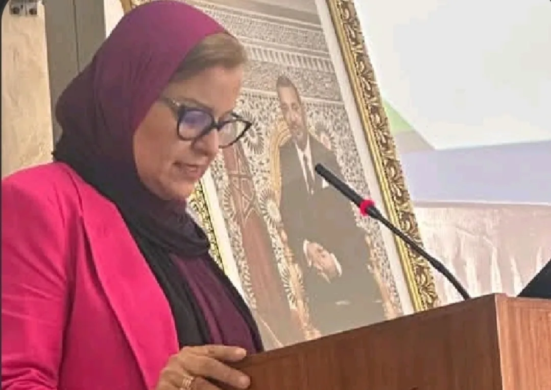 الحسيمة :      قراءة نقدية في مقال حول الهجرة للدكتورة خديجة الحبوبي مديرة المدرسة الوطنية للعلوم التطبيقية