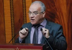 الحسيمة :    منع القتل … وترك الشوارع تواجه «غزو» الكلاب الضالة ومضيان يطالب الداخلية بالتدخل قبل فوات الأوان
