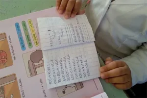 المعهد الملكي للثقافة الأمازيغية: معركة الحرف حسمت  منذ 2003