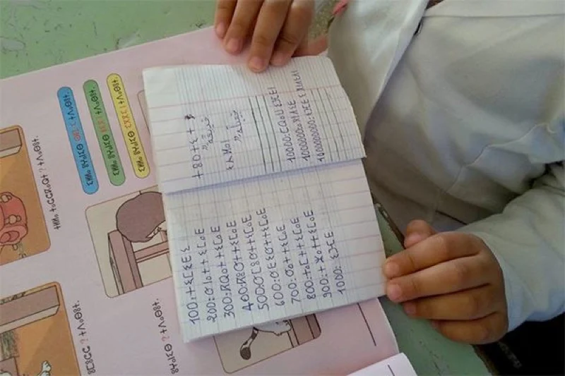 المعهد الملكي للثقافة الأمازيغية: معركة الحرف حسمت  منذ 2003