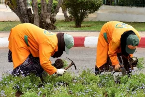 تعليمات داخلية لتقليص الاعتماد على العمال العرضيين بالجماعات