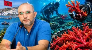 الحسيمة تحت مجهر “المرجان الأحمر” … من طرد مافيا الإيطاليين إلى “قراصنة” الغرفة وسباق اقتلاع آخر ما تبقى من الذهب الأحمر !