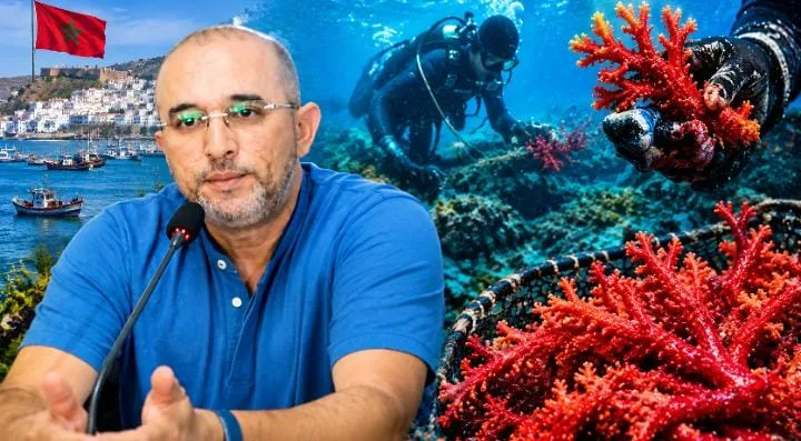 الحسيمة تحت مجهر “المرجان الأحمر” … من طرد مافيا الإيطاليين إلى “قراصنة” الغرفة وسباق اقتلاع آخر ما تبقى من الذهب الأحمر !