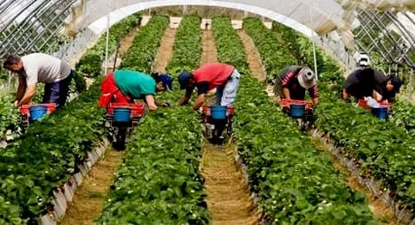 أوروبا تشدد الخناق على التسويق الأخضر  .. قواعد جديدة تضع المنتجات المغربية أمام امتحان الاستدامة