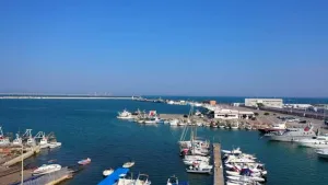 من طنجة إلى الناظور … المغرب يفتح جبهة جديدة بالطاقة النظيفة بـ18 مليون درهم ويشعل سباق الموانئ الخضراء