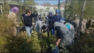 الحسيمة :      مطالب بافتحاص تمويلات الجمعيات الناشطة في المجال البيئي
