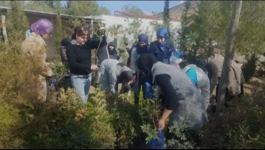 الحسيمة :      مطالب بافتحاص تمويلات الجمعيات الناشطة في المجال البيئي