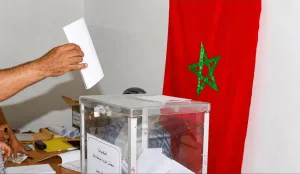 الناظور :    كواليس الإنتخابات التشريعية … العدالة والتنمية يراهن على 30% والمومني وفوطاط في حرب الأرقام والمقعدين الثالث والرابع يشتعلان