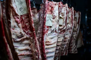 مباحثات مغربية برازيلية لتوسيع واردات اللحوم وخفض كلفة الاستيراد