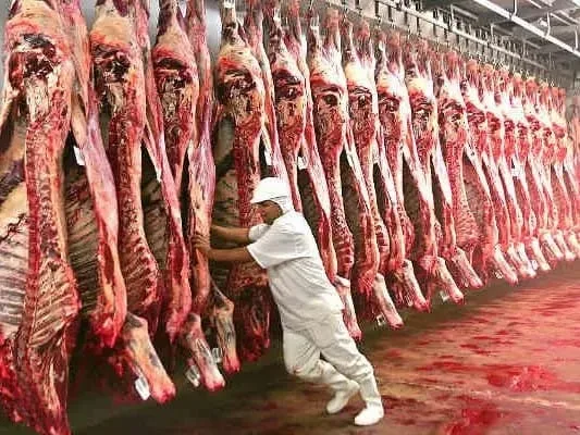 أوروبا تغلق أبوابها أمام لحوم البرازيل بسبب المضادات الميكروبية.. وجرس الإنذار يدق في السوق المغربية!