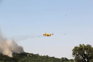 حريق غابات شفشاون يستنفر طائرتي كنادير وفرق التدخل