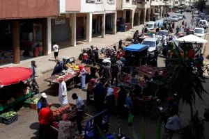 العربات المجرورة تستغل انشغال السلطات بالحملة الانتخابية في الدار البيضاء