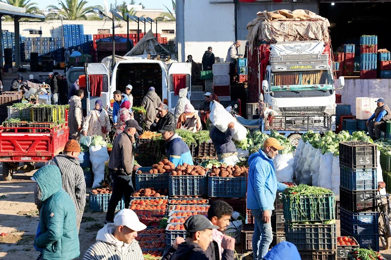 أسعار الخضر تتجاهل المحروقات والبصل يواجه ضغوط التخزين والتصدير