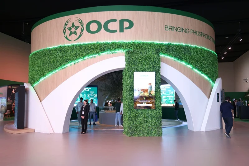OCP يحافظ على هامش EBITDA عند 28% رغم أسعار الكبريت