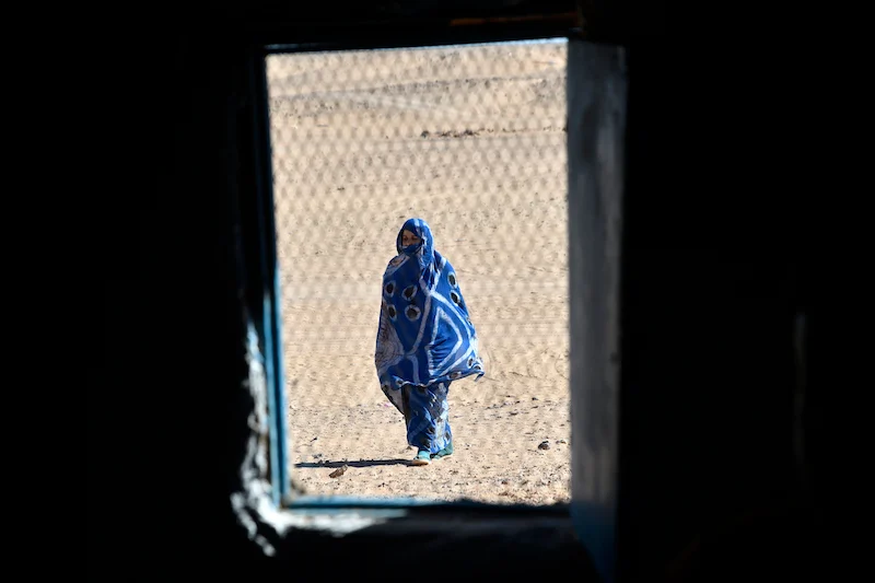 الدويهي تدعو من جنيف إلى تعزيز آليات حقوق الإنسان بمخيمات تندوف