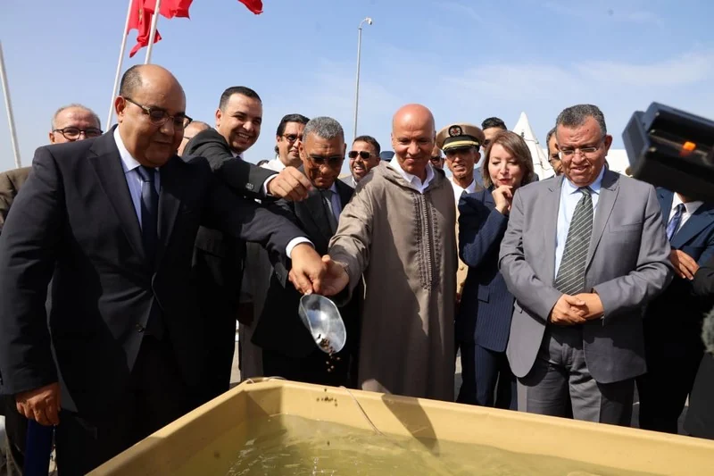 سيدي إفني تطلق أول مزرعة مغربية لتربية الأسماك في أعالي البحار باستثمار 50 مليون درهم