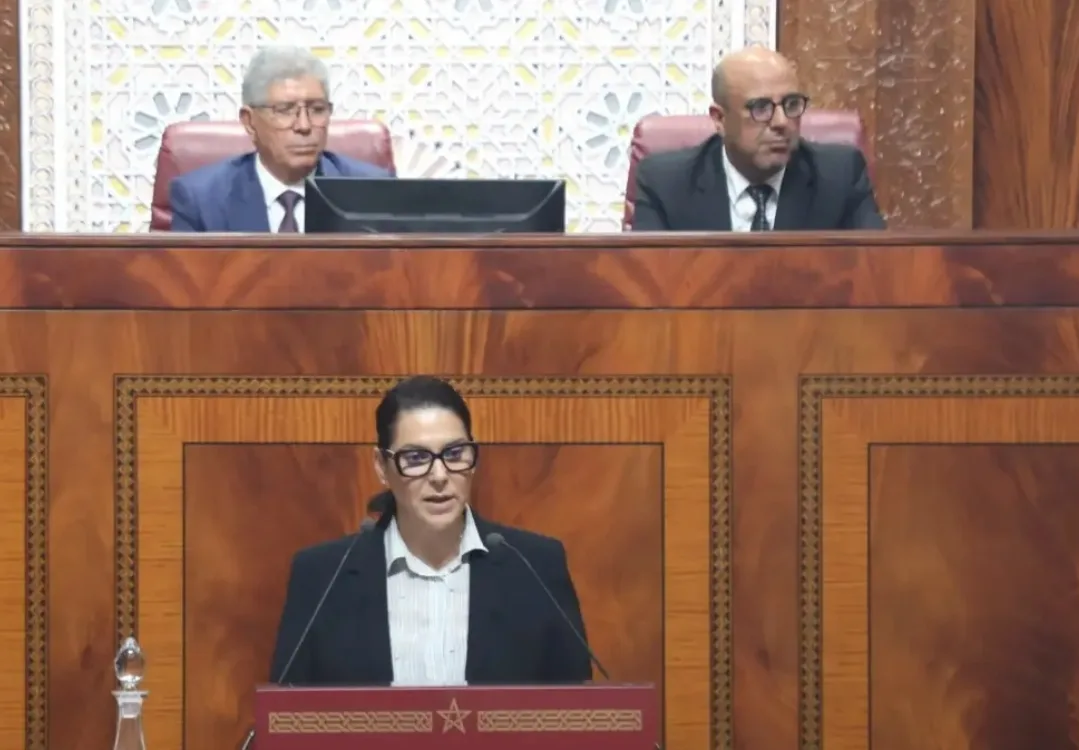 عرض البرنامج الحكومي أمام البرلمان … المنصوري ترسم ملامح حكومة 2027-2031:    تصحيح الاختلالات وتحسين المعيشة في صدارة الأولويات