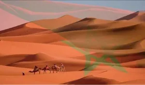 تحالف منظمات صحراوية يدعم مشروع  اقرار أممي .. الحكم الذاتي أساسا للتفاوض