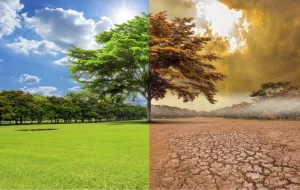 الحسيمة :     دراسة علمية لباحثين تكشف استمرار الإجهاد المائي بالإقليم وتحذر من تفاقم الضغط على الموارد