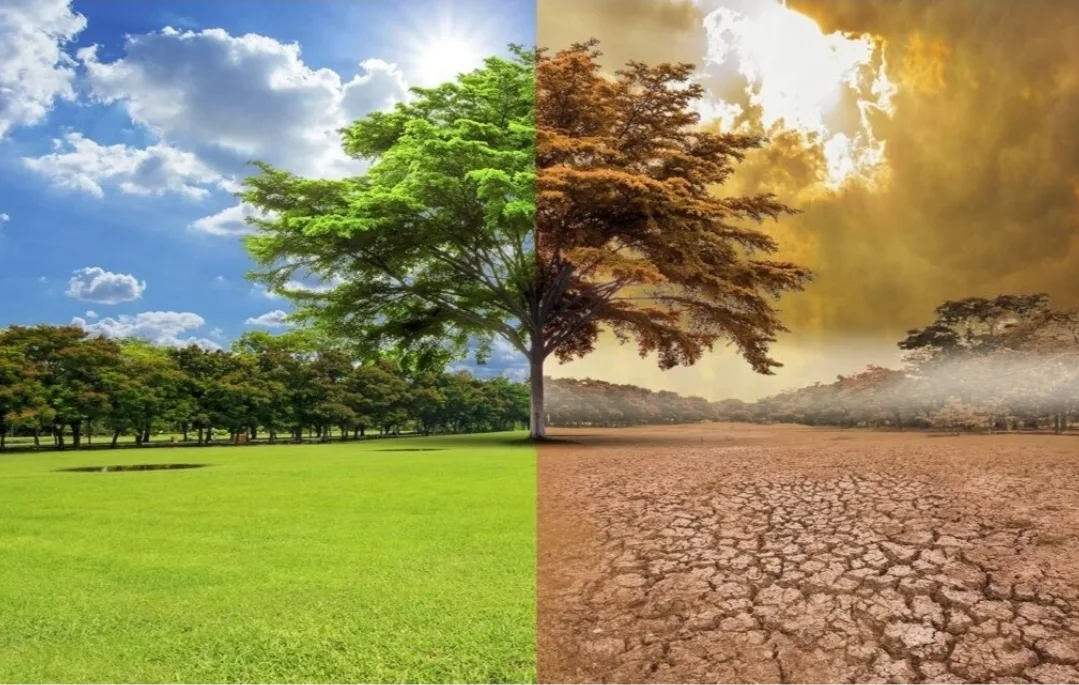 الحسيمة :     دراسة علمية لباحثين تكشف استمرار الإجهاد المائي بالإقليم وتحذر من تفاقم الضغط على الموارد