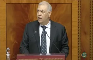 ترحيل المهاجرين نحو المغرب يعيد ملف القاصرين إلى الواجهة … برلمانية تسائل لفتيت عن ظروف الاستقبال والحماية