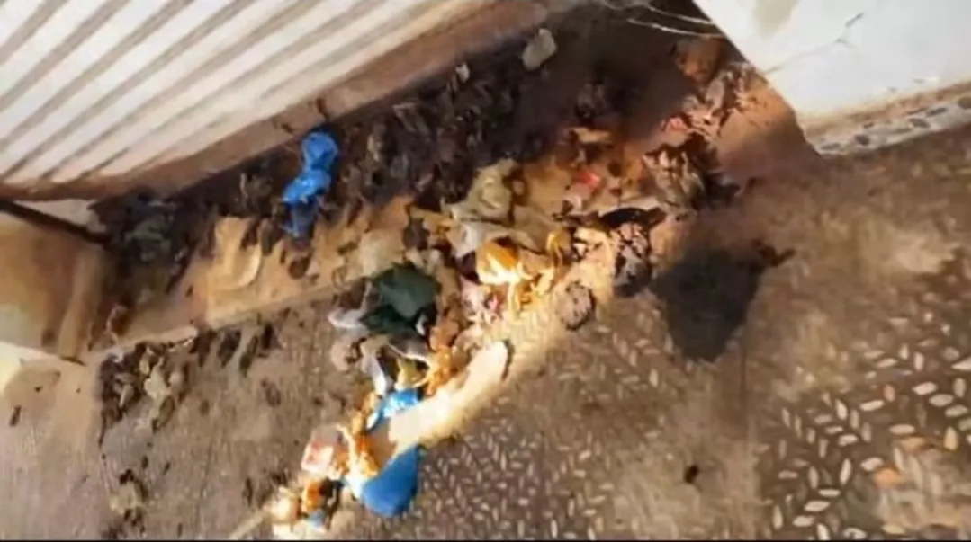 إمزورن :     سوق بملايين الدراهم دشنه الملك يغرق في الاختلالات ويضع الجماعة والسلطة أمام أسئلة محرجة !