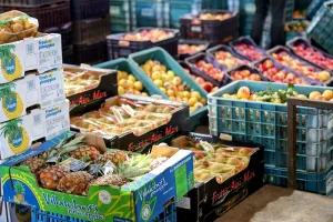 فجوة الأسعار بين الجملة والتقسيط ترفع كلفة الفواكه الخريفية بالمغرب