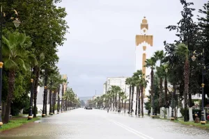 الأرصاد الجوية تحذر من زخات رعدية قوية وبرد ورياح بعدد من مناطق المملكة